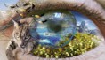 /album/herboshop/ojo-naturaleza-web-jpg/